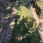 laying Sod