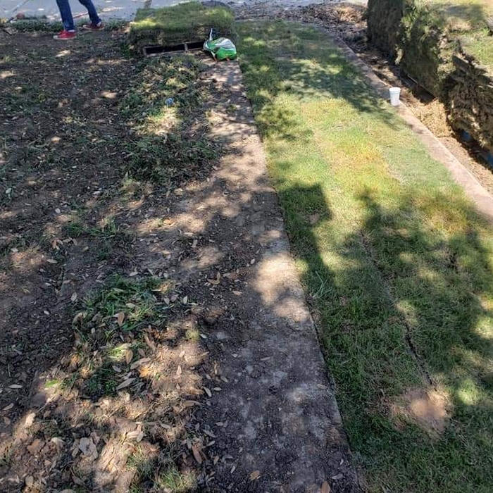 laying Sod