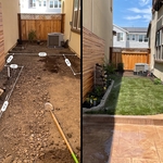 New garden
