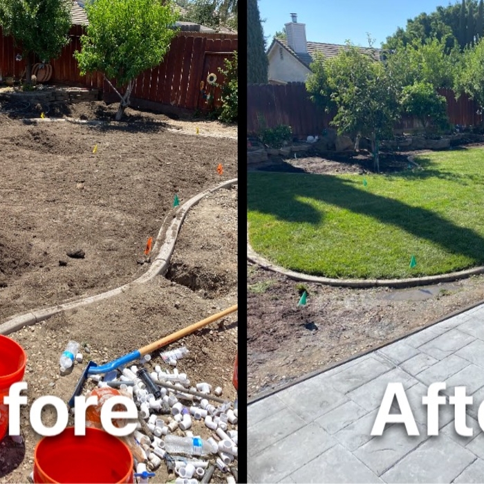New garden