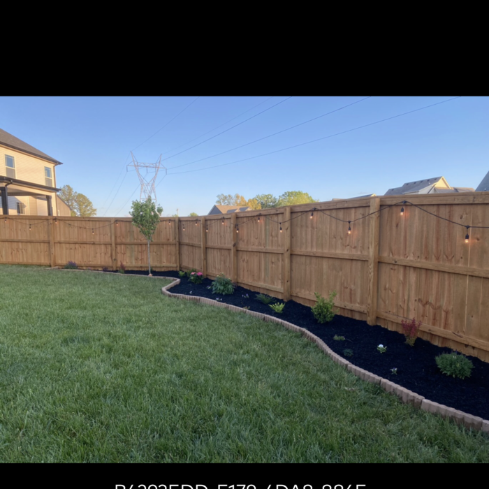 Back yard landscape