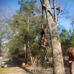 Trim middle of tree