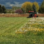 Field Mowing
