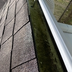 Gutter