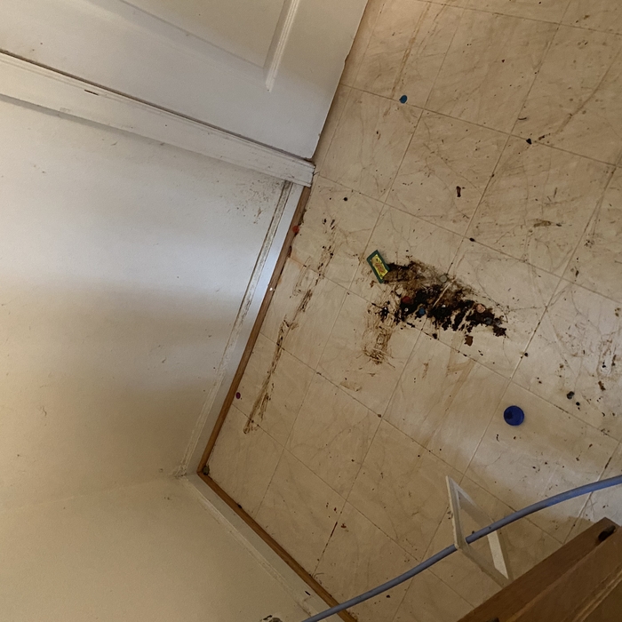 behind refrigerator