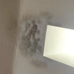 Roof Leak 1