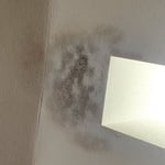 Roof Leak 2