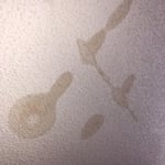 Roof Leak 3
