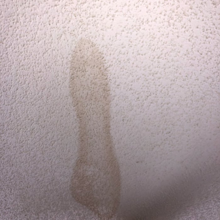 Roof Leak 5