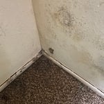 Microbial check
