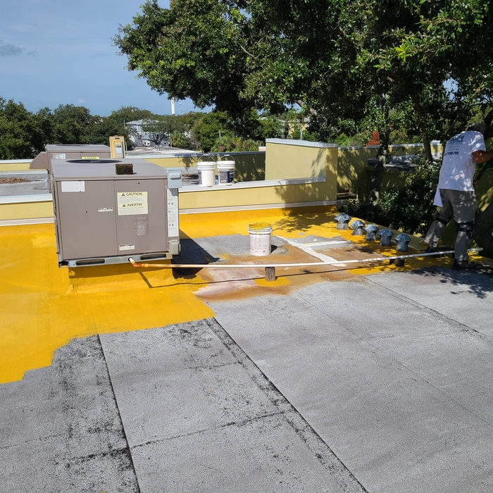 Condo Roof - Primer/Adhesion/Blocker Application