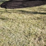 Spring cleanup