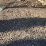 Spring cleanup