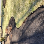 Spring cleanup