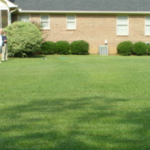 Brick House