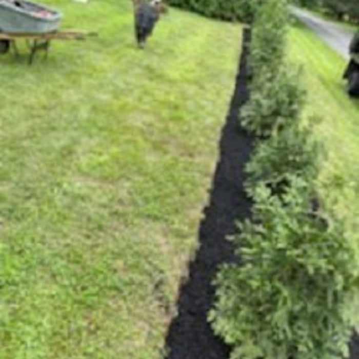 Willy's Landscaping