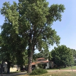 Oilton church -Removal