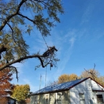 Lead removal